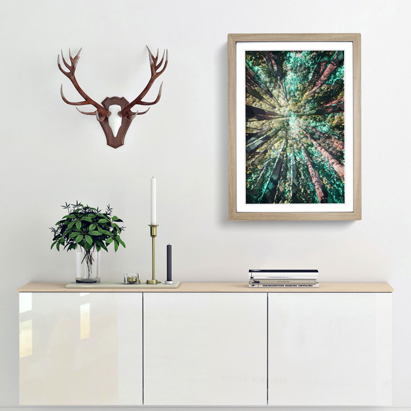 Redwood Trees in California in Abstract - Picture Frame Graphic Art Print, Oak Framed, 48cm H x 36cm W x 2cm D