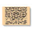 Encyclopedia Butterflies And Insects - Wrapped Canvas-61876761