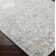 Cait Oriental Indoor Rug