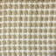Floral Sheer | Clover Fabric_CLOVER-1227252698