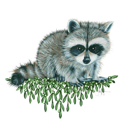 Bébé raton laveur - Peinture
