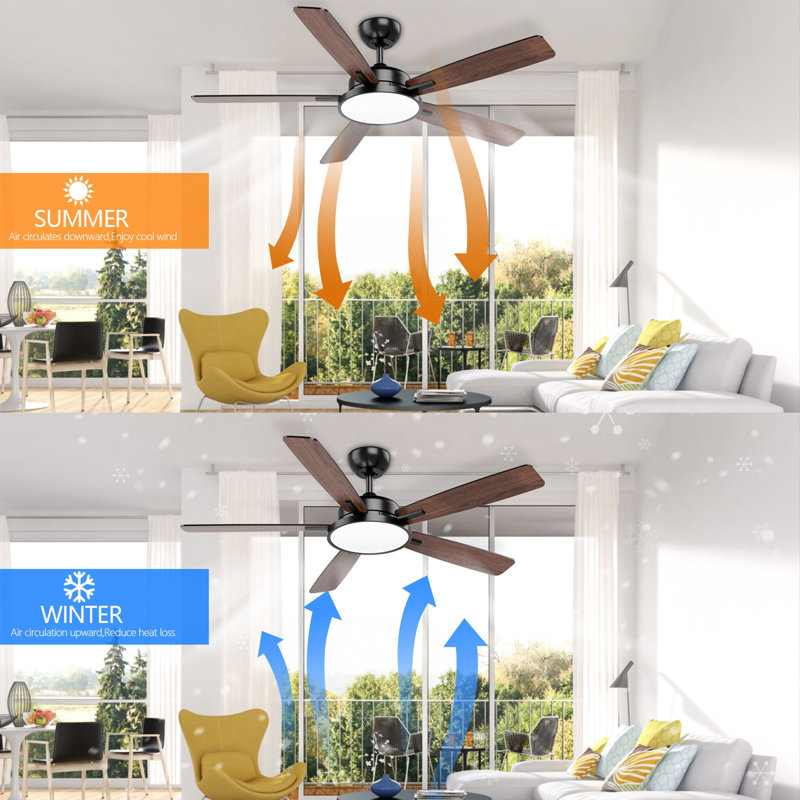 Ventilateur de plafond intelligent de 52 po avec lumières DEL Nicotra APP / télécommande avec Alexa et Google Assistant - noir