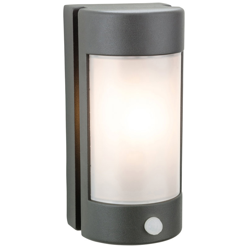 Arena Outdoor Flush Mount