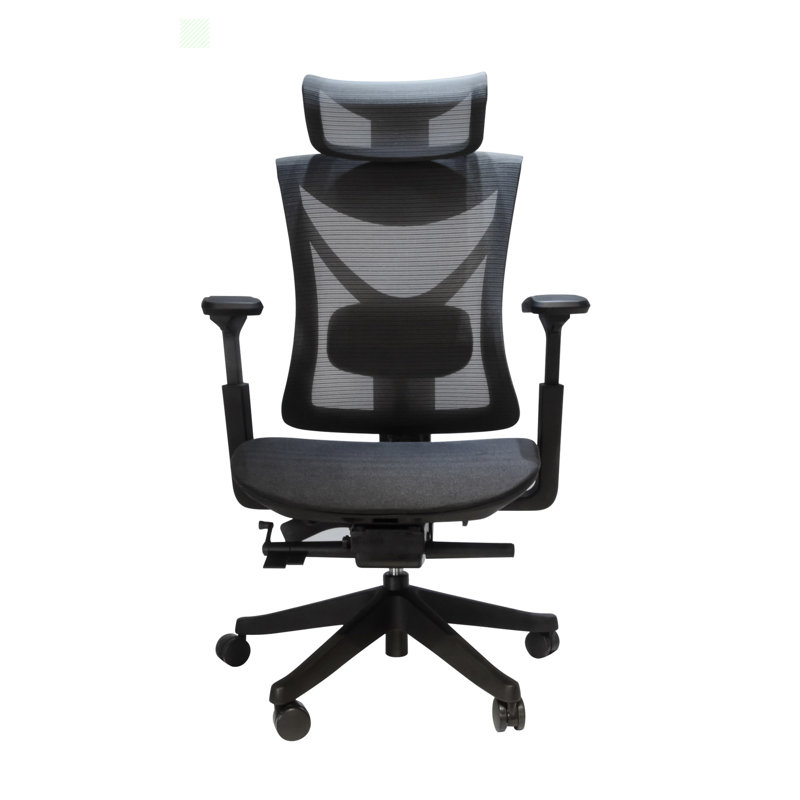 Hokku Designs Radoy Task Chair