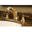 Astor Widespread Bathroom Faucet with Drain Assembly-1902077581