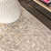 Virgil Modern Ornate Medallion Gray/Brown Rug