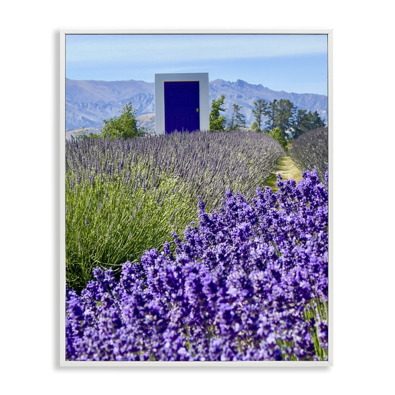 Surreal Doorway Landscape  Giclee Art by Kali Wilson, Coastal White Framed Giclee, 14" H x 11" W