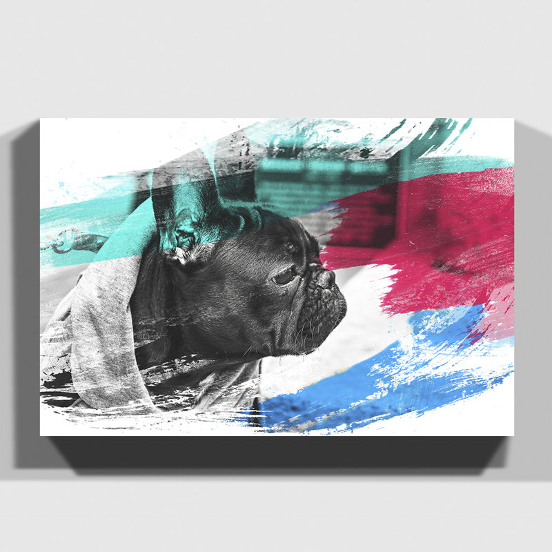 Black French Bulldog - Wrapped Canvas, 35cm H x 50cm W