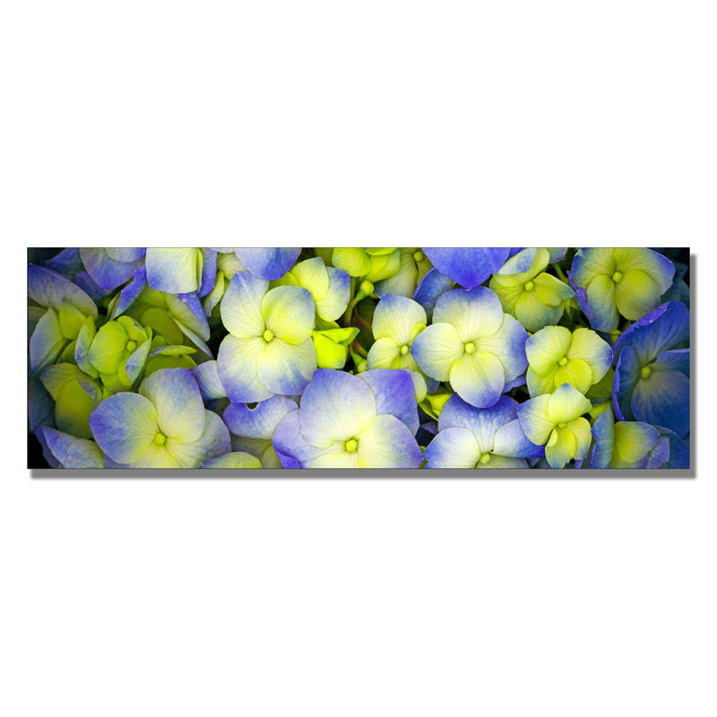 Modern Photography Framed Canvas Art in Natural Wood