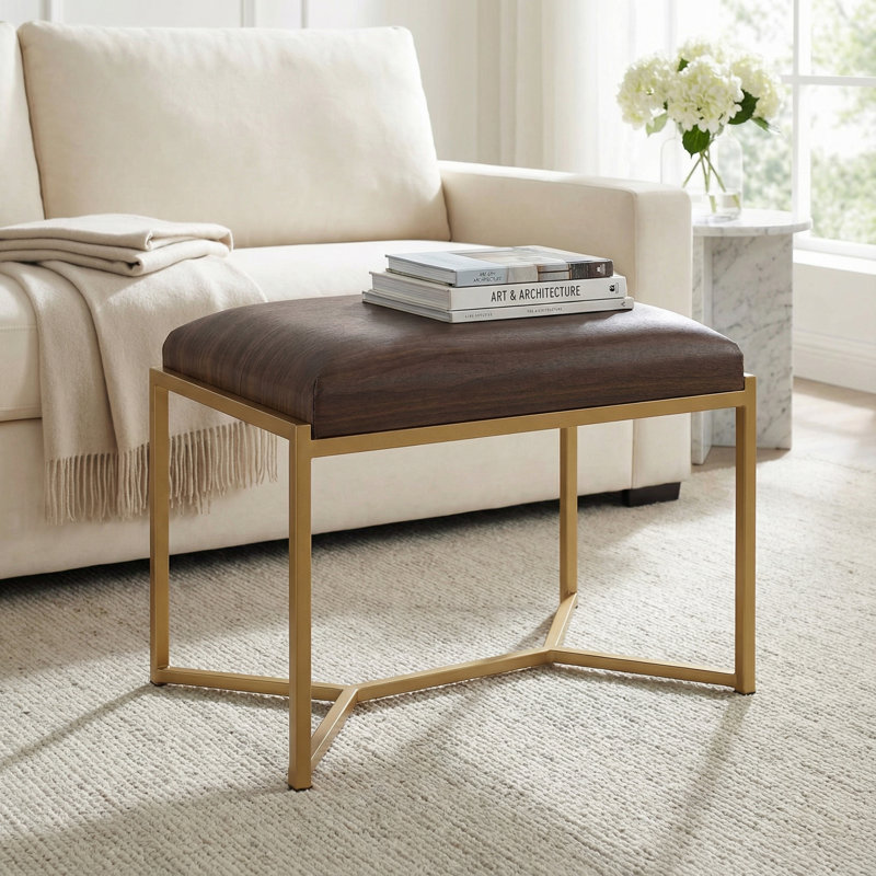 Ramel Faux Leather Ottoman