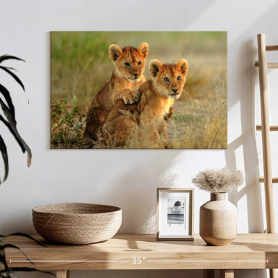 Brampt Baby Lions