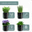 Ensemble de jardinières d'intérieur avec plateau-1028904028
