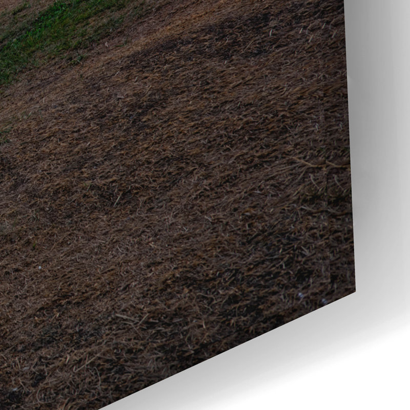 Art mural en verre acrylique Latitude Run®, H 16 po x l 24 po x P 0,2 po