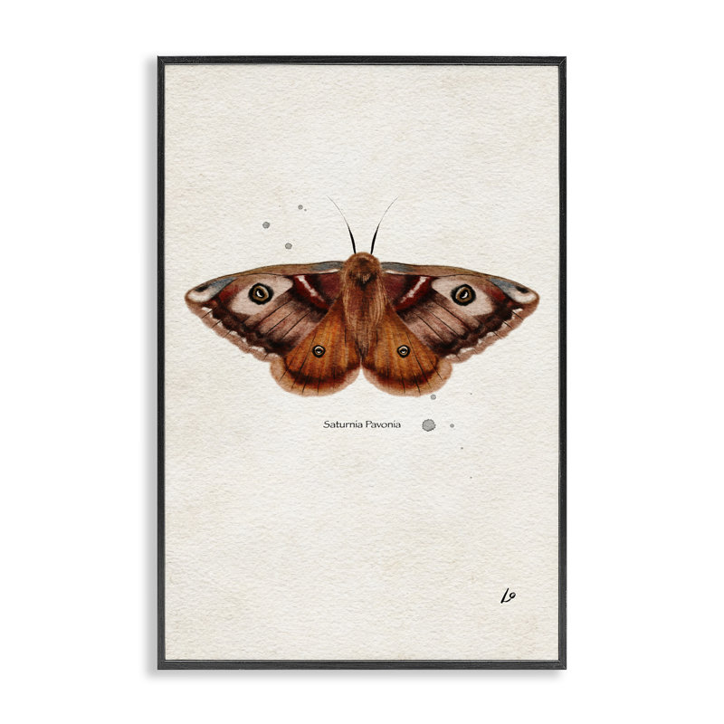  Art de giclée encadrée scientifique jaune par Lydia , H 18 po x l 12 po, Giclée encadrée noir minuit