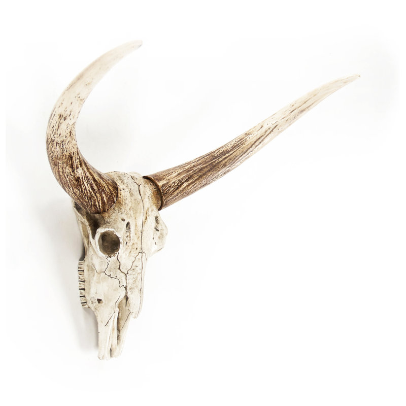 Bull Skull Handmade Resin Wall Decor
