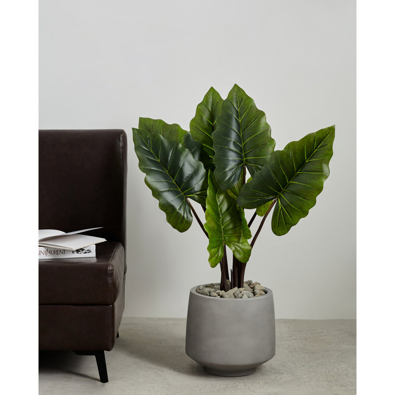 Pot à fleurs en ciment Finnuala, Gris ciment, H 14,5 po x l 15 po x P 15 po