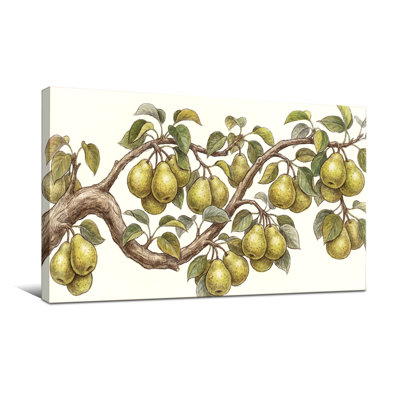 Plantes et fleurs - Branche de poirier avec fruits et feuilles