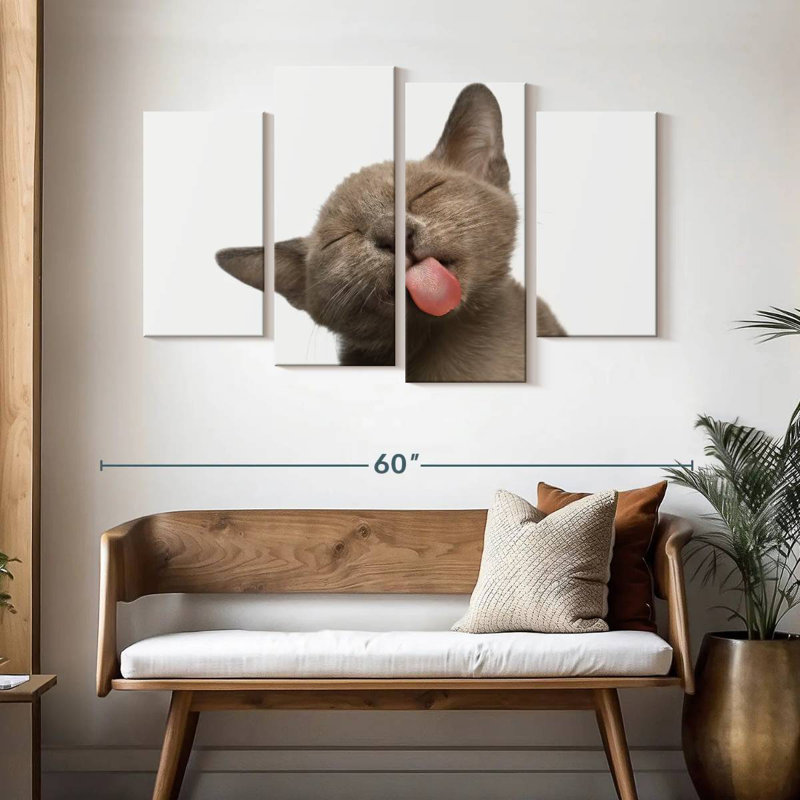 La langue de chat Brampt, H 32 po x l 52 po