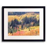 Autumn Colors In Paradise Valley. Mt. Rainier Print by Bruce Heinemann