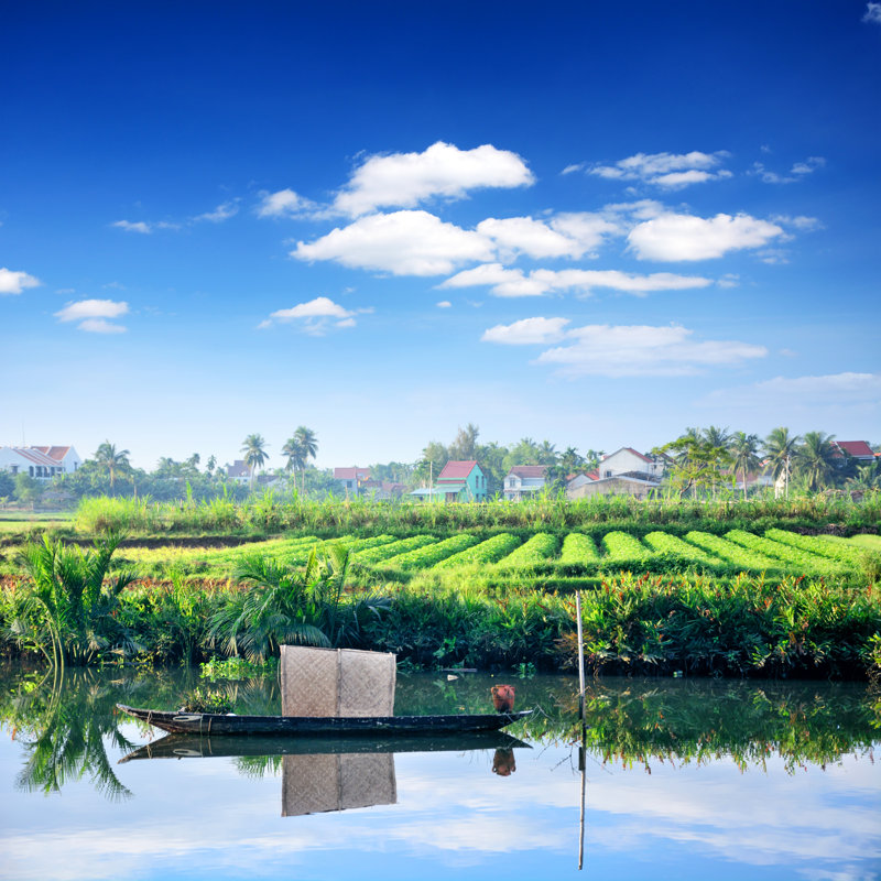 Rural Landscape, Vietnam by Alxpin - Wrapped Canvas Print, 122cm H x 122cm W x 3.8cm D