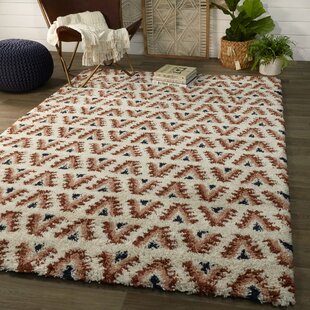 https://assets.wfcdn.com/im/25825099/resize-h310-w310%5Ecompr-r85/1096/109619765/setrag-geometric-shag-area-rug.jpg