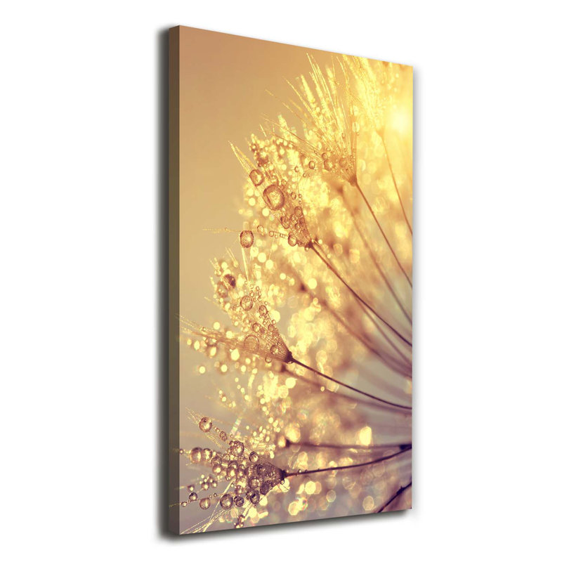 Dandelion Seeds - Wrapped Canvas Print