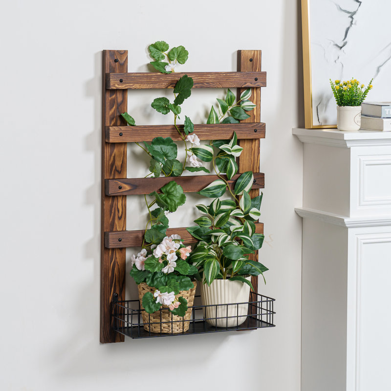 Millwood Pines Carletto Wall Mounted Solid Wood Lattice Panel Trellis ...