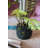 Faux Fern Tree Resin-1863403225