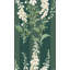 Graham & Brown Foxglove Stripe Teal Wallpaper