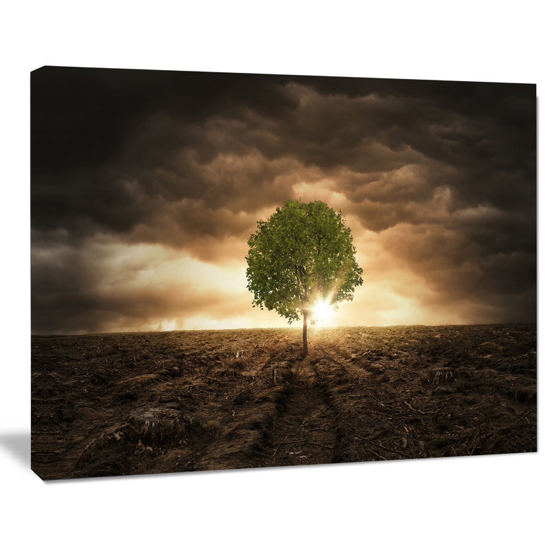 « n’tree », impression sous un motif ciel spectaculaire», H 16 po x l 32 po x P 1 po, Toile tendue