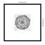 «Succulent Graptoveria 005» par Pictufy Studio III, reproduction d'art encadrée sur bois-771260724