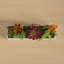 Sydnee 19cm Succulent in Cement Planter