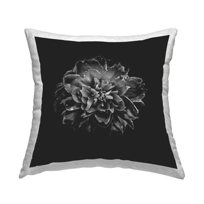 Coussin d'extérieur Stupell Industries