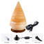 4 lampes de sel ibs Pasternak