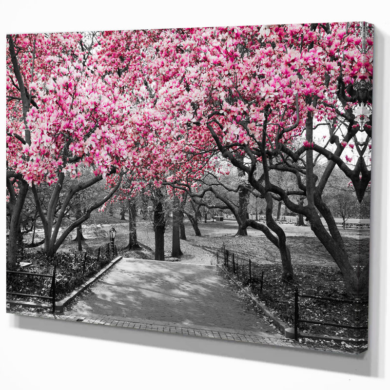 Paysage de cerisiers en fleurs - reproduction de photo sur toile, H 20 po x l 20 po x P 1 po