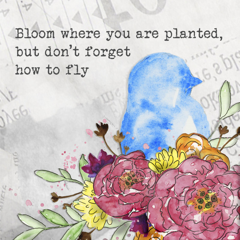 Bloom And Fly II - Wrapped Canvas Print, 51cm H x 51cm W