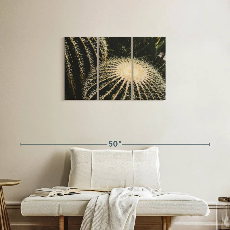 Harnek Barrel Cactus, 20" H x 33" W