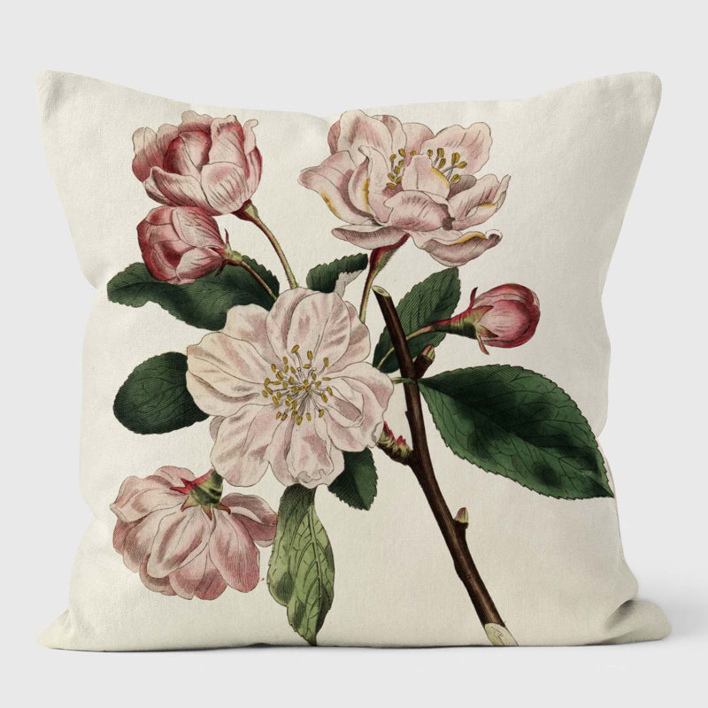Chinese Flowering Apple Malus - Botanical Cushion