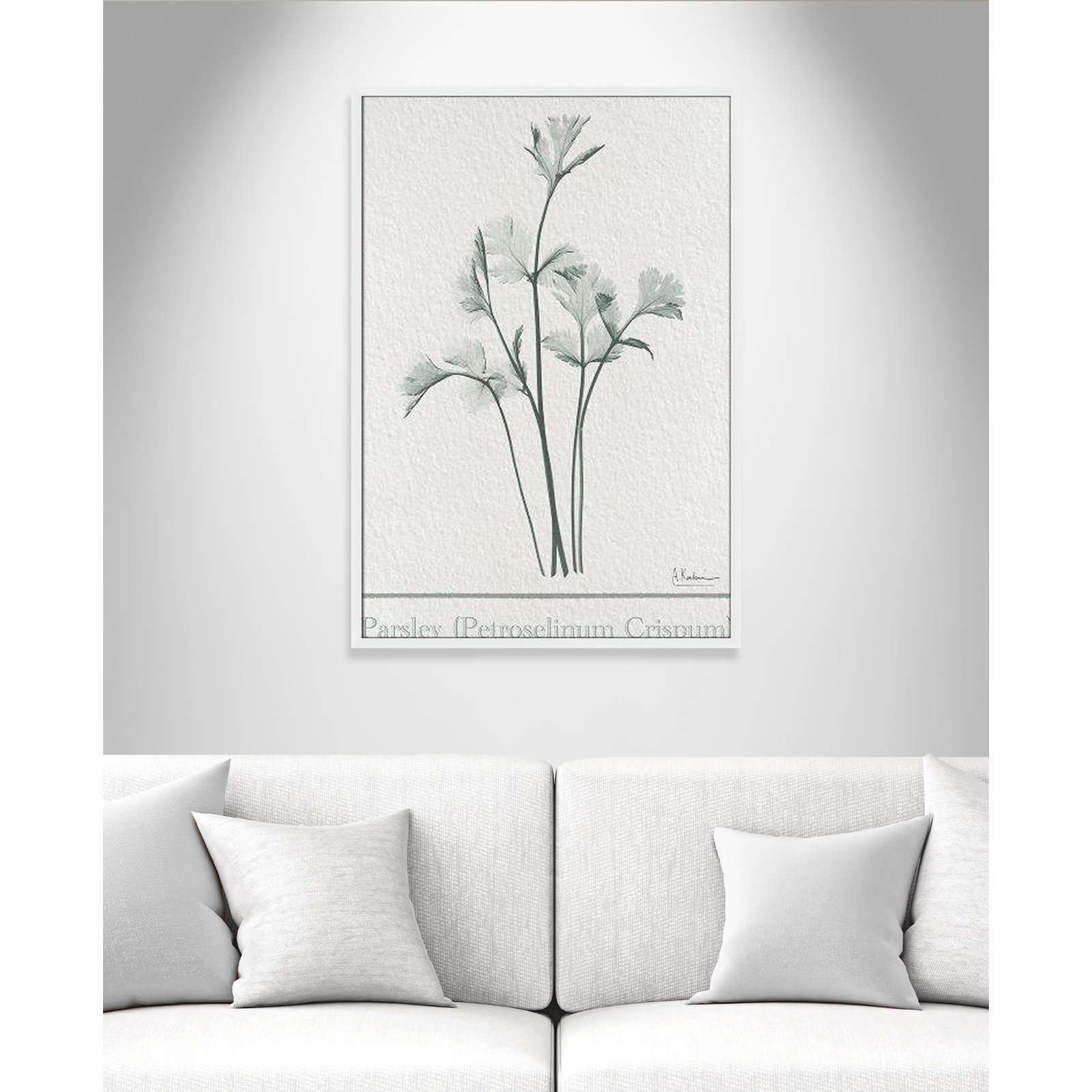 Jeanette "Parsley II" Print by Albert Koetsier, 41.5" H x 29.5" W x 1.25" D, Satin White Framed Paper