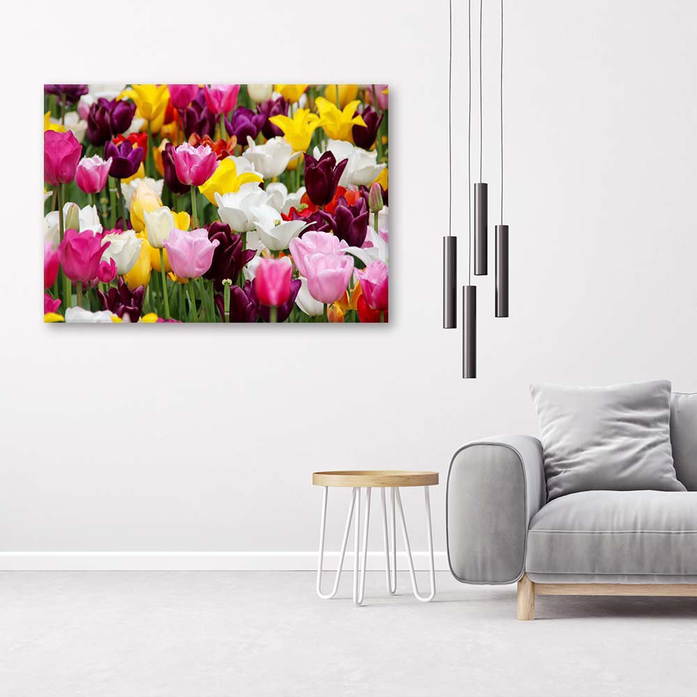 Leinwandbild Bunte Tulpen Wiesenblumen