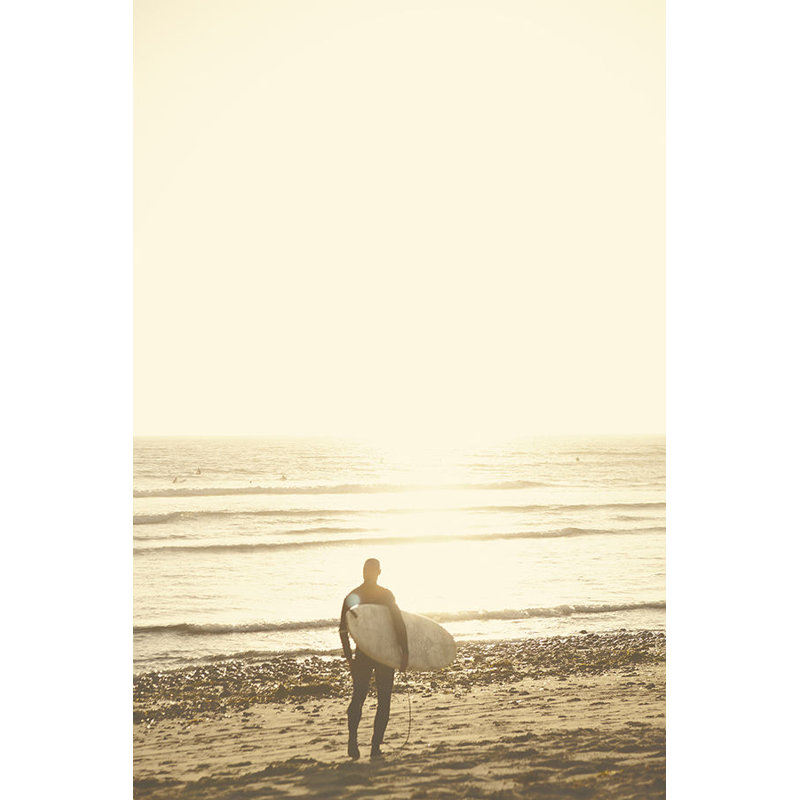 Surfista III Print by Karyn Millet, 37.75" H x 25.75" W, Image Brush Gel