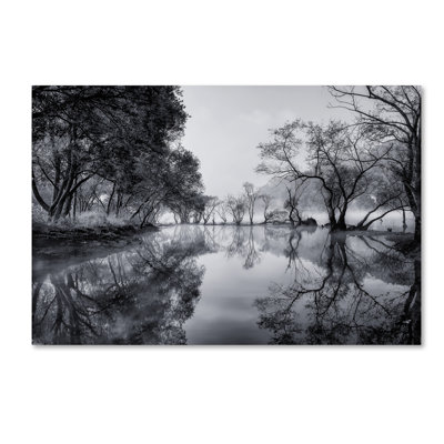 Wrapped Canvas Wall Art - Tiger Seo 'Healing Spot' Wall Art for Living Room, Bedroom, or Office Décor - 30x47