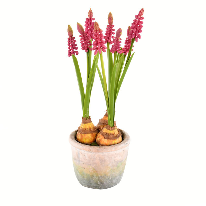 Jacinthes artificielles 10 po dans un contenant, Mauve