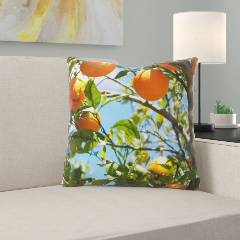Coussin oranges