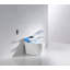 Siège de toilette une pièce allongé 1,28 GPF-70376632