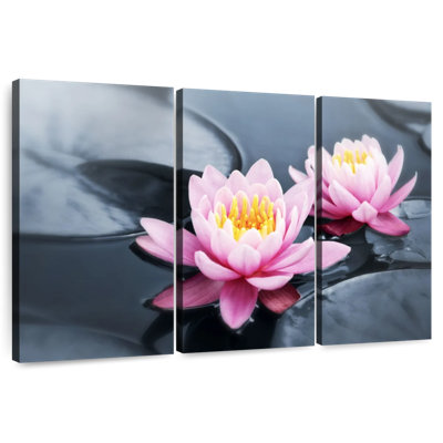 Harnek lotus rose pop