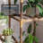 Camorah Plant Stand