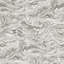 Romeo Wallpaper-36240453