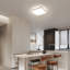 Darrant Acrylic LED Flush Mount