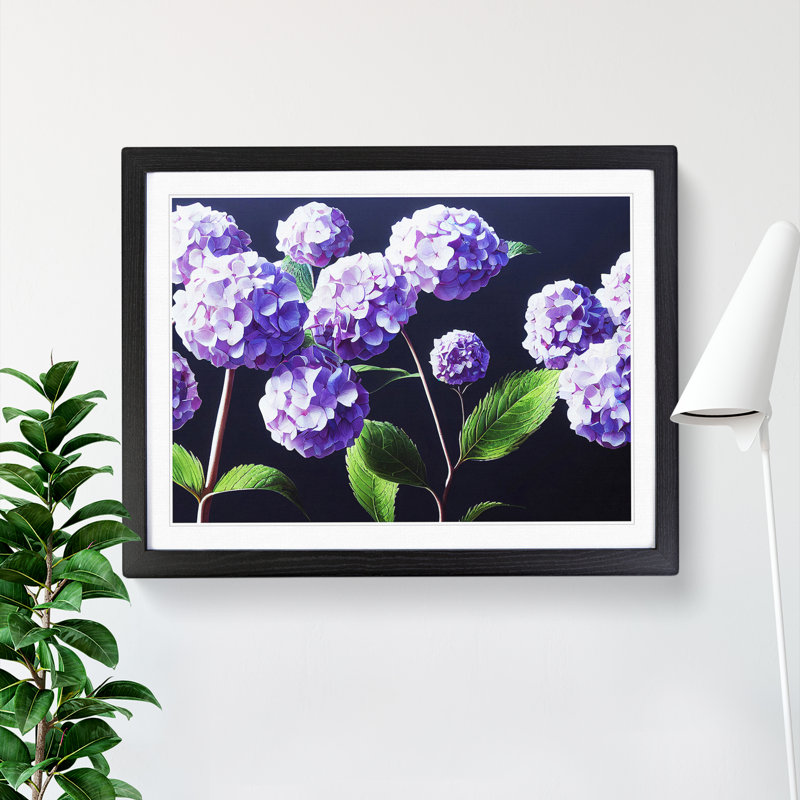 Hydrangea Flower View Vol.4 - Single Picture Frame Print, Black, 25cm H x 34cm W x 2cm D